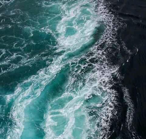 Archivo:Skagen dinamarca59.jpg