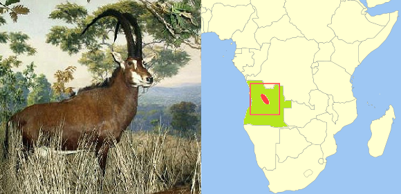 Archivo:Hippotragus niger variani distribution1.svg.png