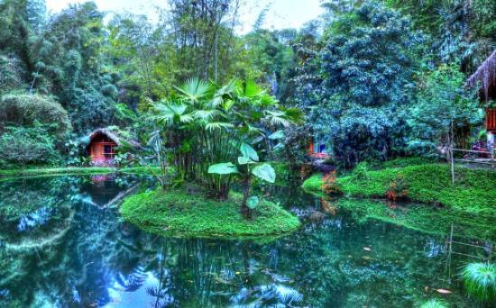 Archivo:Bosque Protector Mindo – Nambillo.jpg