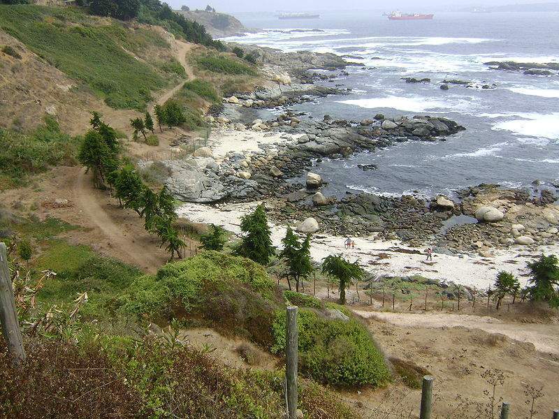 Archivo:Playa El Tebo, Horcón.jpg