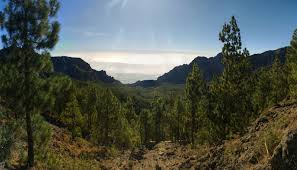 Reserva Natural Integral de Pinoleris.jpeg