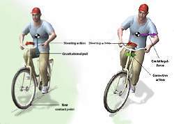 Estabilidad Bicicleta.jpg