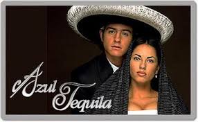 Novel azul tequila.jpg