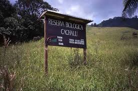 Reserva Biológica Cachalú.jpg