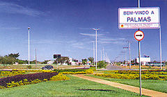 Palmas Brasil.jpg