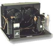 Archivo:Condibercub.jpg
