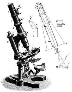 Justicia Heredero prototipo Microscopio óptico - EcuRed