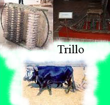 Trillo.JPG