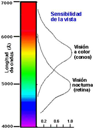 Archivo:Eye sensitivity sm.sp.gif