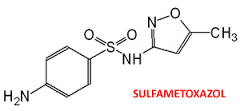 Sulfametoxazol.png