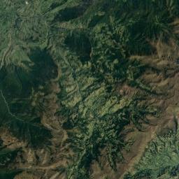 Archivo:Bosques de Robles en la Reserva Biológica Cachalú.jpg