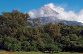 Colima (El Salvador).jpg