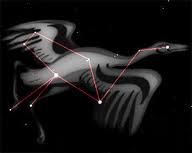 Grulla constelacion 1.jpeg