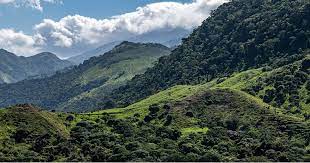 Archivo:Serrania de Perija Cesar.jpg