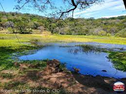 (259 × 194 píxeles; tamaño de archivo: 13 KB; tipo MIME: image/jpeg)