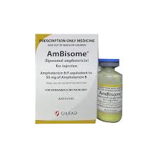 Ambisome.jpg