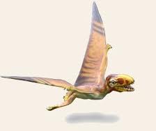 Anurognathus.jpg