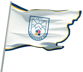 Archivo:Bandera ECCI.png