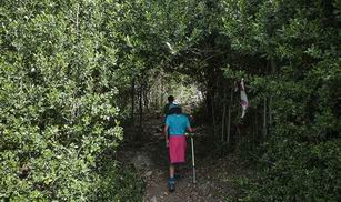 Archivo:Senda del acebal.jpg