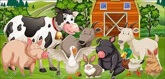 Archivo:ANIMALES DE GRANJA.jpg