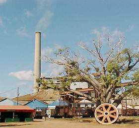 Central covdga2013.jpg