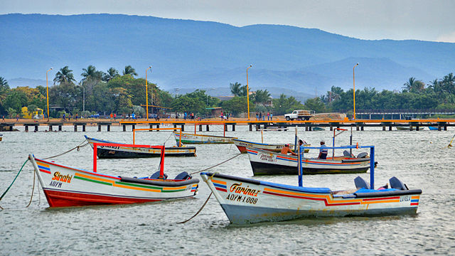 Archivo:Los colores de la pesca.jpeg