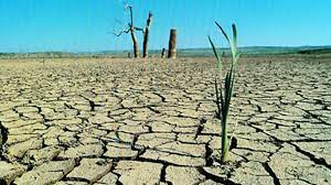 Degradación del suelo.jpg