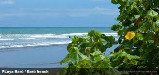 Archivo:Playa Barú portada.jpg