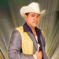 El Tigrillo Palma Ecured el tigrillo palma ecured