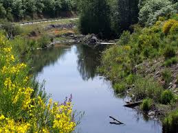 Ecosistemas de rios.jpg