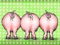 Con los cerditos.jpg