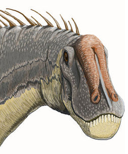 Dicraeosaurus.png