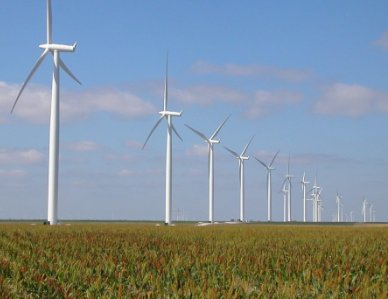 781,5 MW