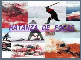 Matanzas de focas.jpg