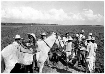 Archivo:Campesinos en Güines en 1963.jpg