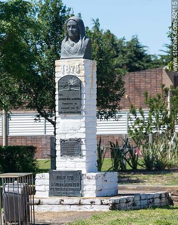 Archivo:Dstonek 47381.jpg