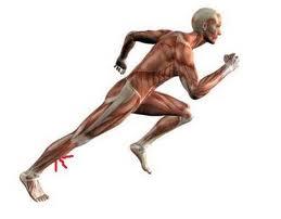 Foto de Rabdomiólisis.JPG