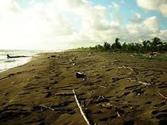 Playa Barra del Colorado.jpeg