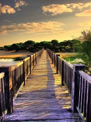 Archivo:Puente de madera1.jpg