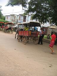 Moa centro.JPG