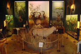 Archivo:Trofeos de africa.jpeg