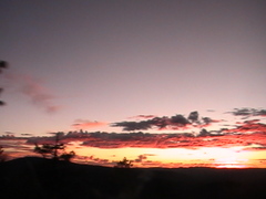 25987862 aguajito.jpg