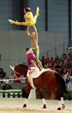 Archivo:Volteo.jpg