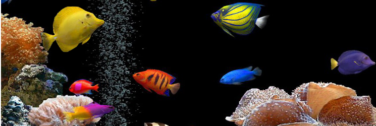 Portal de Acuriofília