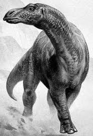 Maiasaura.jpeg