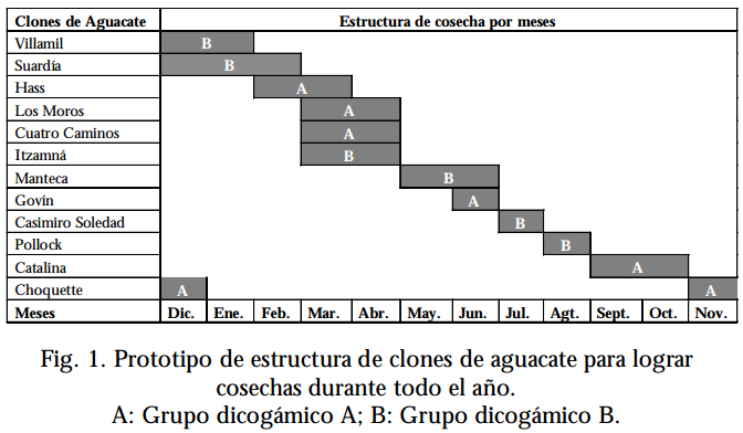 Archivo:Prototipo de cultivo de clones de aguacate.png