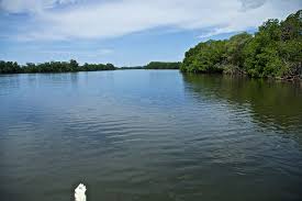 Poza del Nance 1.jpg