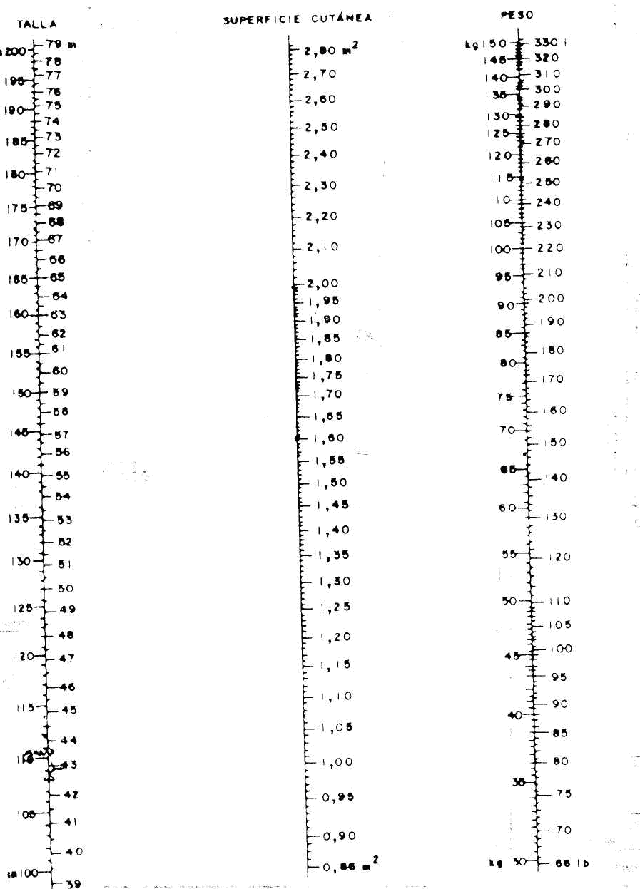 Grafico-nomo3.png