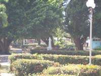 Parque a la madre.jpg