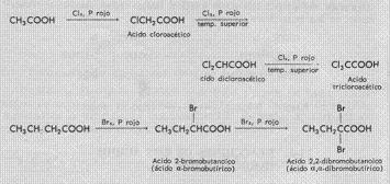 Halogenación Alfa.JPG